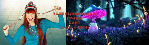 ГАЛЛЮЦИНОГЕННЫЕ ГРИБЫ Инсар