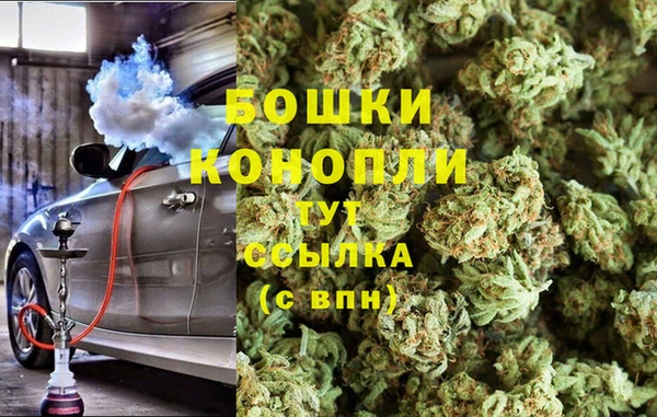 ГАЛЛЮЦИНОГЕННЫЕ ГРИБЫ Инсар
