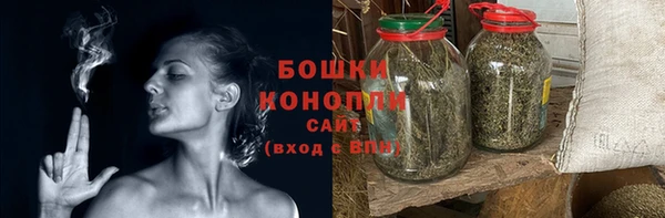 ГАЛЛЮЦИНОГЕННЫЕ ГРИБЫ Инсар
