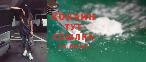 трава Инта