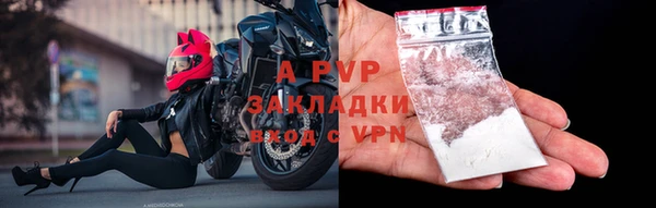 трава Инта