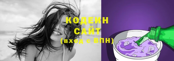 apvp Иннополис