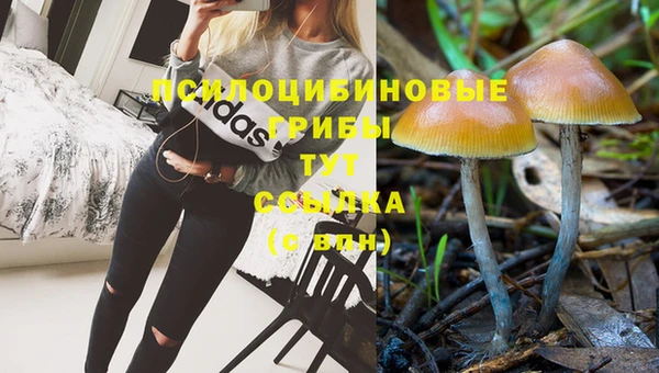ГАЛЛЮЦИНОГЕННЫЕ ГРИБЫ Инсар
