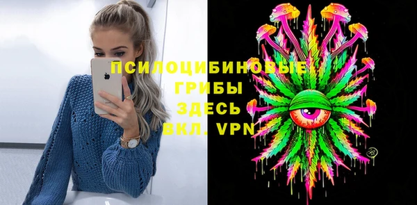 mdpv Каменка
