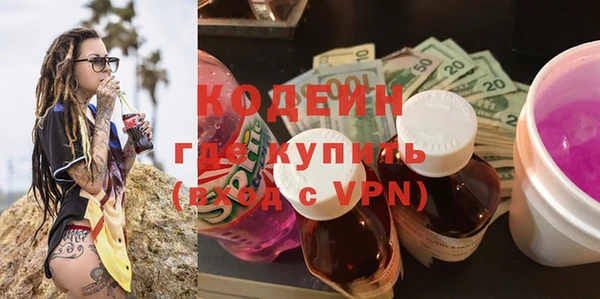 apvp Иннополис