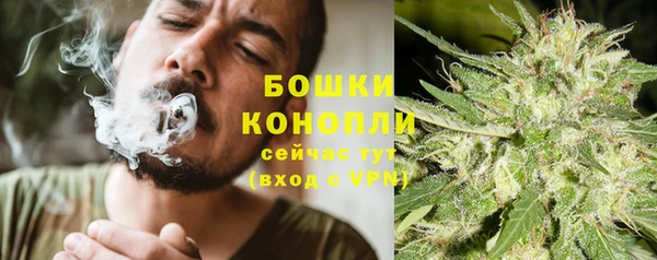 ГАЛЛЮЦИНОГЕННЫЕ ГРИБЫ Инсар