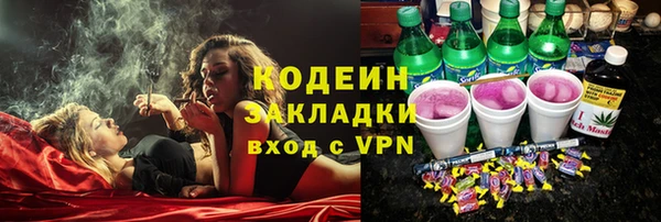apvp Иннополис