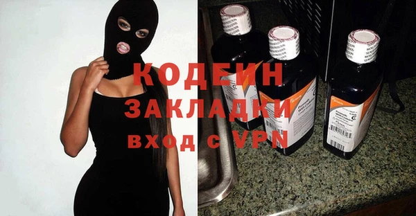 трава Инта