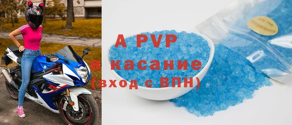 apvp Иннополис