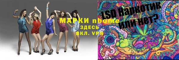 ГАЛЛЮЦИНОГЕННЫЕ ГРИБЫ Инсар