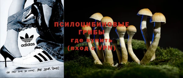 apvp Иннополис