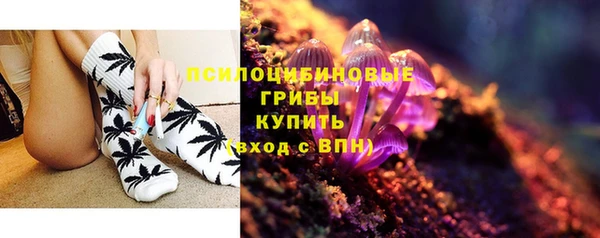трава Инта