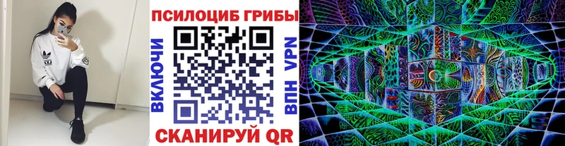 Псилоцибиновые грибы MAGIC MUSHROOMS  Купить  Гусь-Хрустальный 