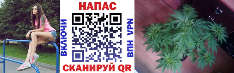 Купить Гусь-Хрустальный Каннабис White Widow
